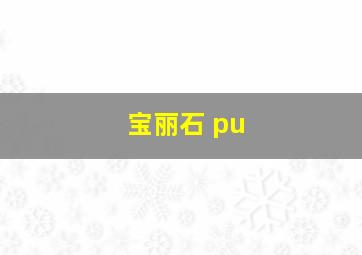 宝丽石 pu